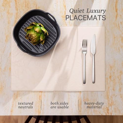 Baroyal Faux Leather Placemats Set of 6 Vinyl Washable Wipeable Table Mats for Kitchen Dining Table Heat Resistant Waterproof Modern Indoor/Outdoor Placemats Non-Slip Easy Clean Place Mats (Nude) - color: B-nude