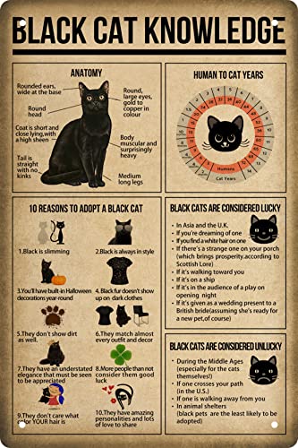 Funny Black Cat Knowledge Quote Poster Vintage Metal Signs for Bedroom Family Signs For Home Decor Wall Man Cave Sign Garage Signs Cat Lovers Gift 8 X 12 in - color: Black Cat Knowledge