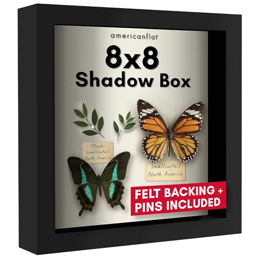 Americanflat 8x8 Shadow Box Frame with Shatter-Resistant Glass - Silhouette Collection - Small Shadow Box Display Case for Tabletop and Wall Display - Black with Soft Felt Back - color: Black, size: 8x8
