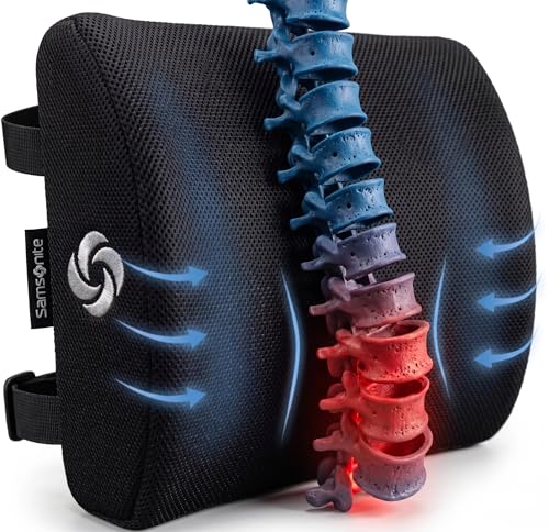 Samsonite Lumbar Support Pillow for Office Chair, Lower Back Support for Car, Back Pillow Desk Chair Cushion with Memory Foam, Improved Posture Backrest - color: Black Mesh