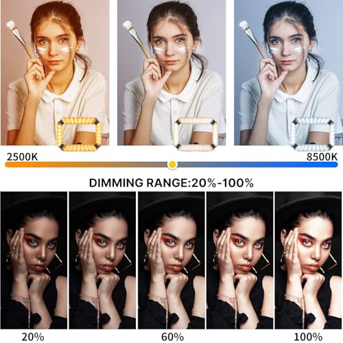 ULANZI Smartphone Video Rig with Light, Handheld Cell Phone Stabilizer with Ring Light 8500k Selfie Light for Filmmaking Live Steam Tiktok YouTube Video Recording, 8000mAh Build-in Battery - size: U200 Light