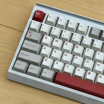Sumgsn 163 Double Shot Keycaps Cherry Profile Retro 9009 Keycaps Set Fit for 61/64/87/104/108 Cherry Mx Switches ANSI/ISO Mechanical Keyboard - color: Retro Keycaps