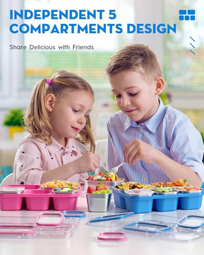 BiuLeon Snackle Box Containers, Stainless Steel 5 Compartments Divided Serving Tray with Lid, Removable LeakProof Portable Bento Box for Fruit Candy Nuts Food - School, Picnic and Travel（Blue） - color: Blue