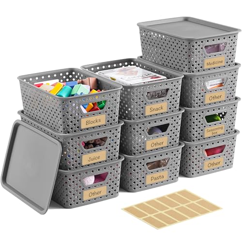 10 Pack Small Plastic Storage Bins with Lids, Stackable Plastic Storage Baskets for Organizing with Handles, Organizer Bins with Labels for Room,Craft,Containers for Pantry Organizers and Storage,Grey - color: Gray