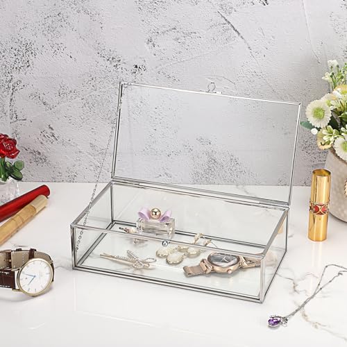 Hipiwe Glass Keepsake Display and Jewelry Organizer With Lid - Silver Decorative Clear Rectangle Storage for Trinket Perfume Collection - Gift for Birthday Anniversaries, Large - color: Silver, size: Large