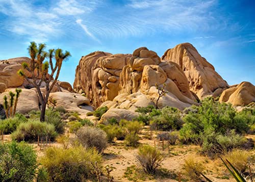 BELECO 20x10ft Fabric Desert Backdrop Joshua Tree National Park Photography Backdrop Odd Trees Rocky Mountains Natural Scenery Holiday Background Hiking Camping Pictures Home Decor Photo Studio Props - size: 20x10FT