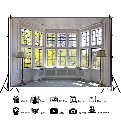AOFOTO 6x4ft Classic French Pane Bay Windows Backdrop Luxury Retro Interior Decoration Floor Lamps Photography Background New Life Furniture Home Lifestyle Estate Modern Residence Photo Studio Props - size: 6x4ft