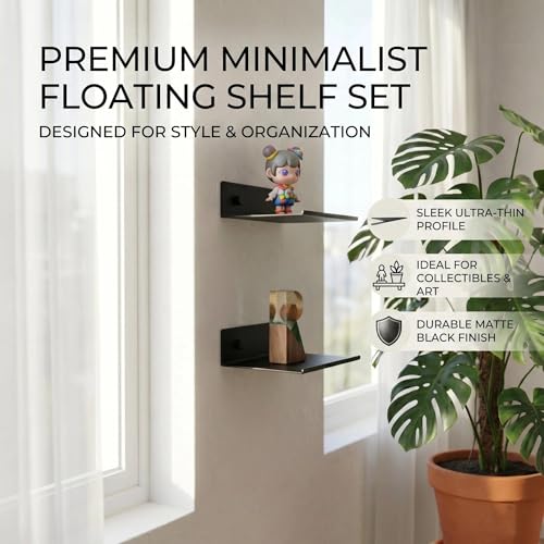 Z metnal 2 Pack 6 Inch Metal Floating Shelves with Safety Lip, Small Wall Mounted Shelf Holds Up to 5 Lbs, Matte Black Lightweight Display Ledge with Hidden Screw Caps for Bathroom, Bedroom - color: Black, size: 6 inch (2 Pack)