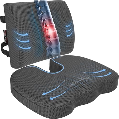 FORTEM Seat Cushion, Office Chair Cushion, Lumbar Support Pillow for Office Chair, Memory Foam Car Seat Cushions, Sciatica Coccyx Tailbone Pain Relief, Cushions for Back Support, Washable, Non Slip - color: Dark Grey Mesh, size: Large