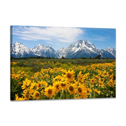 SKASNFAI Mountain Office Picture Wall Decor Sunflower Landscape Living Room Wall Art, Grand Teton Posters Print Artwork for Walls 24X36 Inch - color: Mountain 05, size: 24"L x 36"W