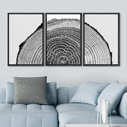 NWT Framed Canvas Print Wall Art Set Black White High Contrast Wood Tree Rings Nature Wilderness Photography Modern Art Rustic Scenic Relax/Calm for Living Room, Bedroom, Office - 16"x24"x3 Black - color: A02-2203-slm15, size: 16" x 24" x 3 Panels BLACK