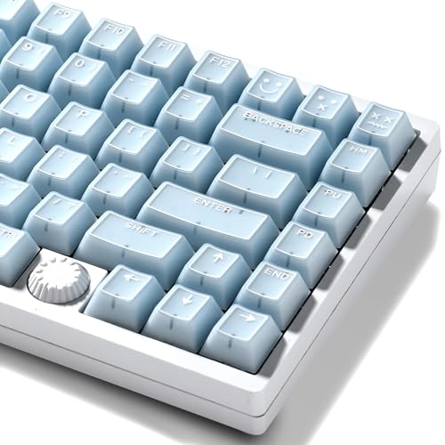 GMKWTL XVX Blue Jade Keycaps, Doubleshot PBT Keycap Sets 142 Keys, Cherry Profile Keyboard Keycaps Suitable for 60%/65%/75%/TKL/96%/100% Layout Mechanical Keyboard - color: Blue Jade