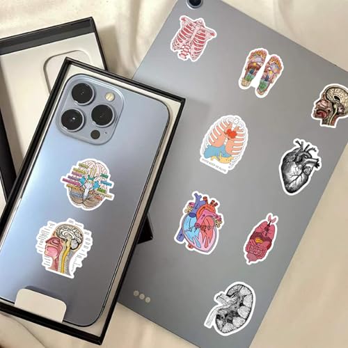 100PCS Anatomy Stickers, Vinyl Waterproof Anatomy Decals Pack for Water Bottle, Helmet,Journaling, Laptop, Phone, Biology Anatomy Human Body Organ Stickers for Students Teachers - color: Anatomy Stickers