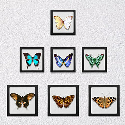 Linkstyle 10PCS Challenge Coins Display Stand Holder, 3D Floating Frame Transparent PE Floating Display Case, Jewelry Storage Box Suspension Frame for Medal, Medallion, Stamps - size: 4.3x4.3in, 5.5x5.5in