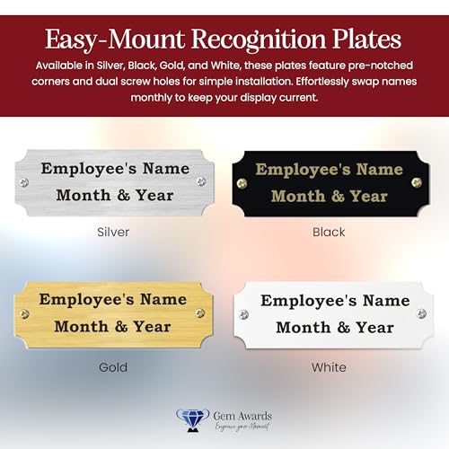 Employee of the Month Plate Inserts (Silver) - color: Silver