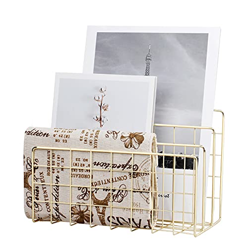 Desktop Mail Organizer File Organizer Metal Wire Mail Sorter Letter Organizer Magazine Rack for Letters, Mails, Books, Postcards, Brochures, Mail Holder (3 Slot, Gold) - color: Gold