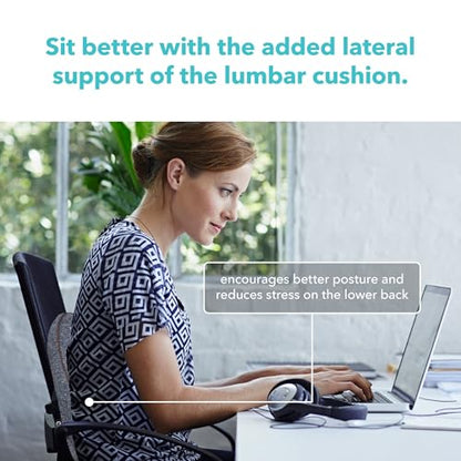 Cubii Cushii Back Support Cushion for Back and Lower Back Relief Universal Fit for Desk, Office, Kitchen Chairs, Couch Cushions with Advanced Lumbar Support - size: 16 Inches