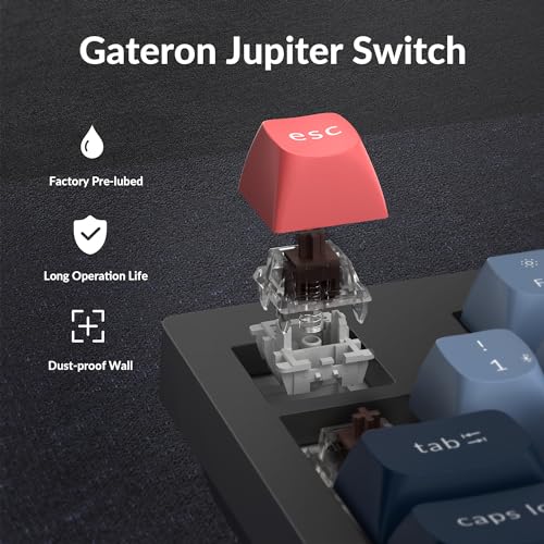 Keychron V5 Max Custom Wireless Mechanical Gaming Keyboard with Number Pad, 96% Layout QMK/VIA 2.4 GHz/Bluetooth 5.1/Wired, RGB Backlit Hot-Swappable Gateron Brown Switch for Mac Windows Linux - color: Gateron Jupiter Brown Switch