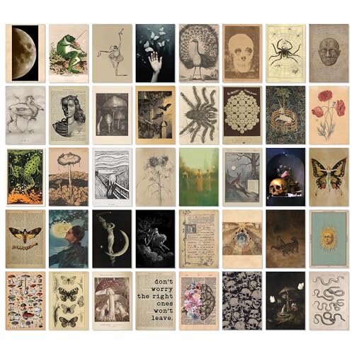 97 Decor Vintage Posters for Room Aesthetic - 40pcs Vintage Art Wall Collage Kit, Fairycore Room Decor, Witch Goblincore Pictures Cottagecore Posters for Teen College Dorm Bedroom Decoration (4"x6") - color: Vintage Collage 40x4x6