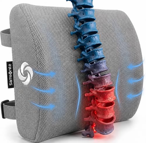 Samsonite Memory Foam Lumbar Support Pillow for Office Chair, Gaming Chair & Car Seat Automotive Use, Ergonomic Back Cushion, Work from Home Essentials, Office Essentials for Sitting Comfort, Grey - color: Grey Mesh