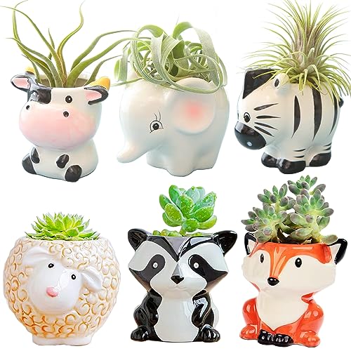 Melphoe 6Pcs Air Plant Holder Cartoon Shaped Small Succulent Pots Animal Planters Small Ceramic Pot Drainage for Mini Plant Cactus Flower, Tillandsia Air Fern, Display Stand Home, Office Desktop