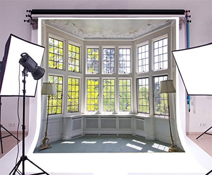 AOFOTO 10x10ft Classic French Pane Bay Windows Backdrop Luxury Retro Interior Decoration Floor Lamps Photography Background New Life Furniture Home Lifestyle Estate Modern Residence Photo Studio Props - size: 10x10ft