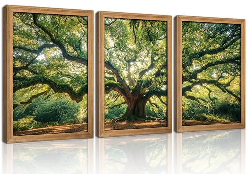 3Pcs Framed Ancient Oak Tree Canvas Wall Art, Green Forest Forest Tree of Life Nature Poster, Serene Wall Decor for Living Room Bedroom Office - color: green, size: 24"L x 16"W