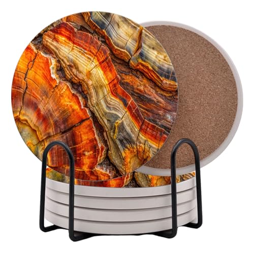 Petrified Wood Agate Round Coasters Set of 6 - Abosrbent Ceramic Coasters with Metal Stand for Drinks, Coffee, Non-Slip Cork Back for Tabletop Protection, 4 Inches
