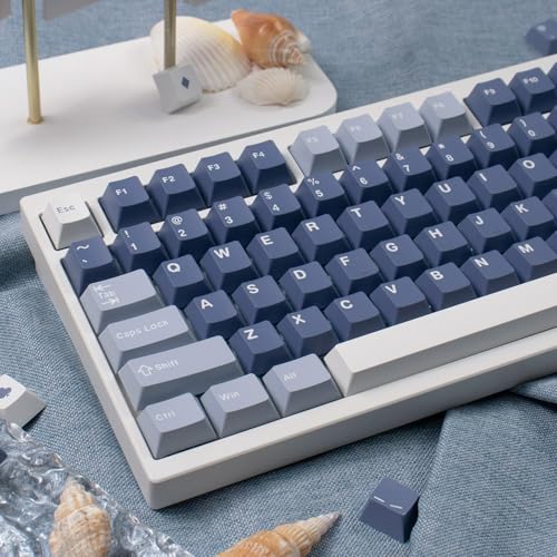 Sumgsn 163 Keys Doubleshot Keycaps Set Cherry Profile Fishing Key caps with 7u Spacebar Fit for 61/64/87/104/108 Cherry Mx Switches Alice Keyboard Mechanical Keyboards - color: Fishing Keycaps