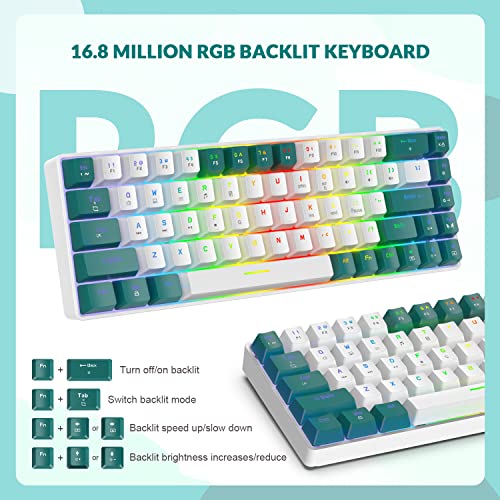 ZIYOU LANG RK-T8PR0 Wired 65% Mechanical Gaming Keyboard and Mouse Combo with RGB LED Backlit Anti-ghosting TKL Mini 68 Key Coiled C to A Cable Tactile Blue Switch for PS4 PS5 Xbox PC Mac Gamer(Green) - color: Green White, size: 65% Keyboard + Mouse