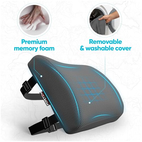 FORTEM Lumbar Support Pillow for Office Chair, Lumbar Support Pillow for Car, Back Rest for Gaming, Memory Foam Pillow, Desk Chair Cushion, Breathable & Washable Cover, Adjustable Straps - color: Dark Grey Mesh