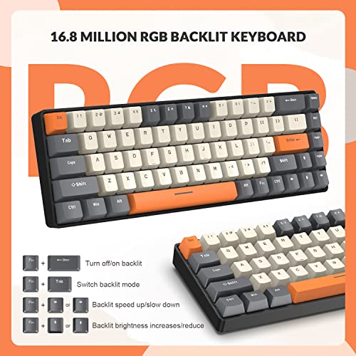 ZIYOU LANG RK-T8 Wired 65% Mechanical Gaming Keyboard with RGB LED Backlit Anti-ghosting TKL Mini 68 Key Custom Coiled C to A Cable Tactile Blue Switch for PS4 PS5 Xbox PC Mac Gamer(Dark Gray/White) - color: Dark Gray White, size: 65% Keyboard