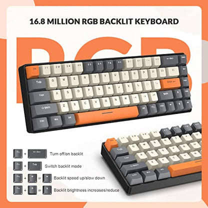 ZIYOU LANG RK-T8 Wired 65% Mechanical Gaming Keyboard with RGB LED Backlit Anti-ghosting TKL Mini 68 Key Custom Coiled C to A Cable Tactile Blue Switch for PS4 PS5 Xbox PC Mac Gamer(Dark Gray/White) - color: Dark Gray White, size: 65% Keyboard