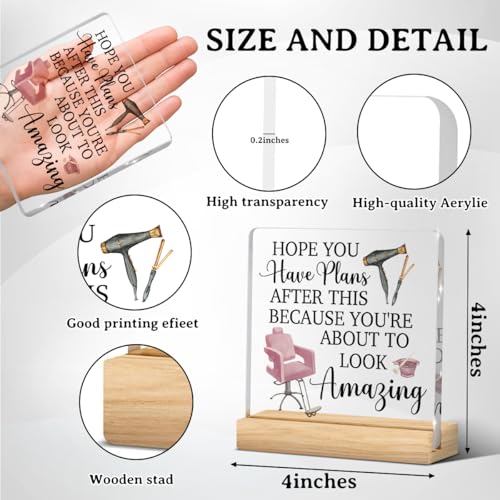 Hairdresser Gifts, Pink Hair Salon Decor, Salon Decor for Hair Stylist, Birthday Thank You Gift for Hairstylist Women, Hairs Dryer Barber Chair Acrylic Sign Christmas Desk Shelf Barber Decoration - color: Hope You Have Plans After
