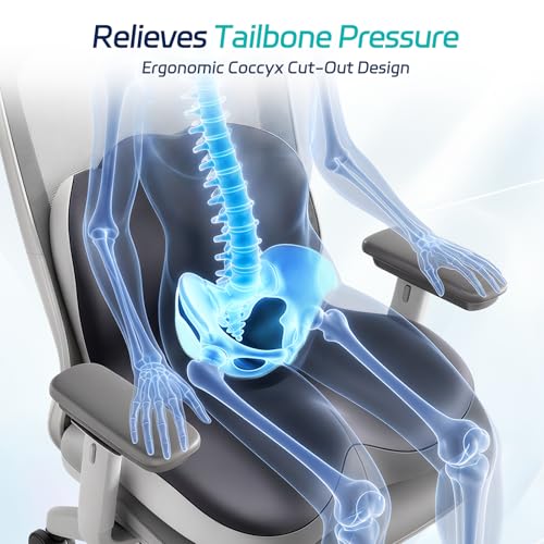 Back and Seat Cushion for Office, Back & Tailbone Pain Relief, Raised Cushion for Lumbar and Butt, Double-Sided Anti-Slip, Improves Sitting Posture, Ergonomic Memory Foam Lumbar Cushion