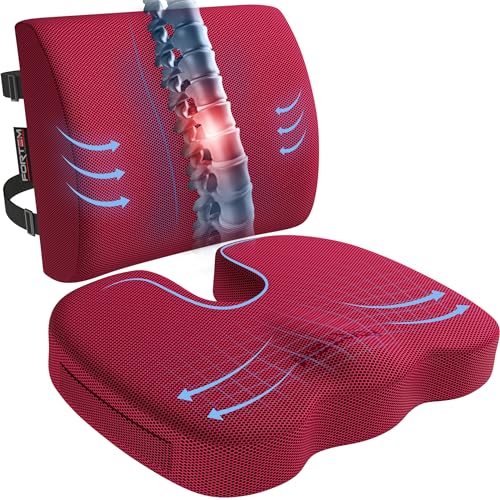 FORTEM Seat Cushion, Office Chair Cushion, Lumbar Support Pillow for Office Chair, Memory Foam Car Seat Cushions, Sciatica Coccyx Tailbone Pain Relief, Cushions for Back Support, Washable, Non Slip - color: Red Mesh, size: Large
