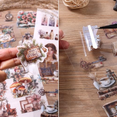 Scrapbooking Stickers 20 Sheets Pre-Cut 200 washi Stickers PET People Sticker Books for journaling Scrapbook Supplies Flower Transparent Journal Sticker - color: Beige
