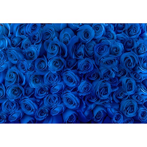 5x3ft Blue Rose Backdrop Rose Wall Mysterious Flower Floral Charming Women Photography Background Wedding Birthday Mother's Day Valentine's Day Decoration Princess Queen Photographer - color: blue, size: 5x3ft