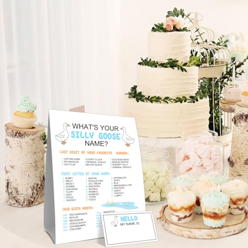 What's Your Silly Goose Name Game, What's Your Silly Goose Name Game Card, Gooses Names Games Sign 30 Sticker Cards, Gooses Baby Shower, Birthday Party Activities Decorations Names Card for Boys Girls - style: Sillygoose