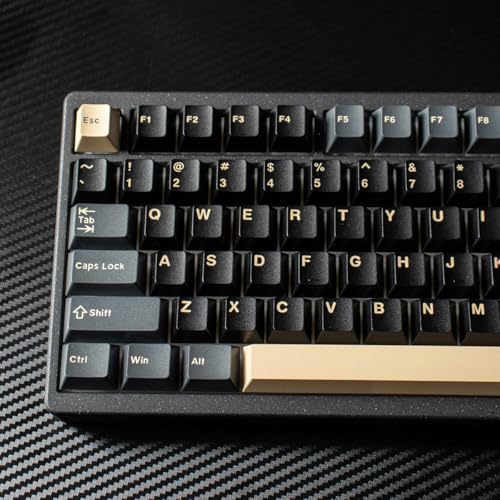Sumgsn 173 Keys Doubleshot Keycaps Cherry Profile Apes Keycaps Set 7u Spacebar Fit for 61/64/87/104/108 Cherry Mx Switches ISO ANSI Layout Mechanical Keyboards Alice Keyboards - color: Apes Keycaps