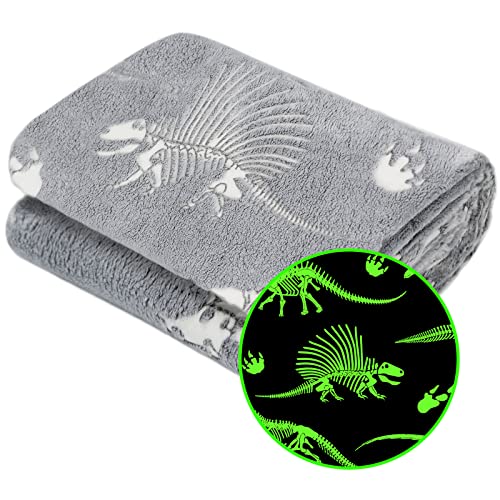 Glow in The Dark Blanket Dinosaur Blanket for Boys Kids Soft Cute Dino Blankets Christmas Toys Gifts Gray Glowing Dinosaur Blankets for Bed 90x108 inch - color: Fluorescent Dinosaur, size: King size 90" x 108" (230 x 275 cm)