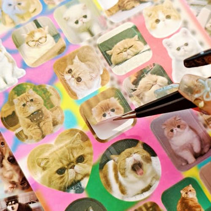 Cat Sticker Book - 1000+ Stickers, 34 Sheets of Cat & Dog Aesthetic Stickers for Scrapbooking, Journaling, Kawaii Planner | Cat Sticker Book with Meme Stickers,Glossy, Matte & Textured Finishes - color: Blue Cat and Dog