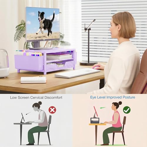 OPNICE Desk Organizers and Accessories, 2-Tier Computer Monitor Stand Riser with Drawer and 2 Pen Holders, Laptop Stand, Office Desk Accessories for Office Supplies, Purple - color: Purple, size: With Drawer and 2 Pen Holders