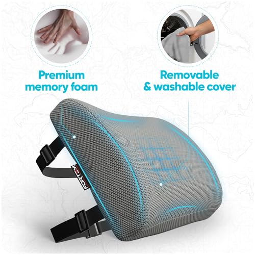 FORTEM Lumbar Support Pillow for Office Chair, Lumbar Support Pillow for Car, Back Rest for Gaming, Memory Foam Pillow, Desk Chair Cushion, Breathable & Washable Cover, Adjustable Straps - color: Grey Mesh