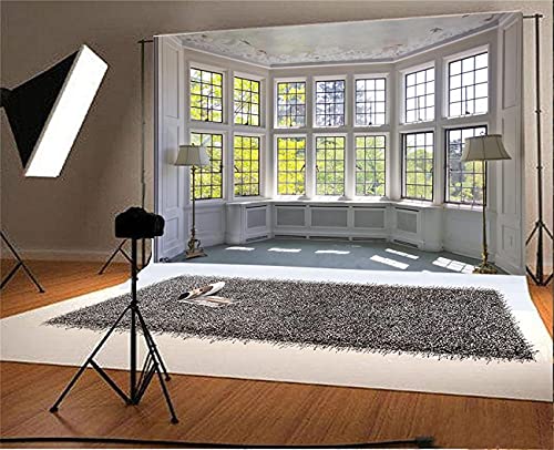 AOFOTO 5x3ft Classic French Pane Bay Windows Backdrop Luxury Retro Interior Decoration Floor Lamps Photography Background New Life Furniture Home Lifestyle Estate Modern Residence Photo Studio Props - size: 5x3ft