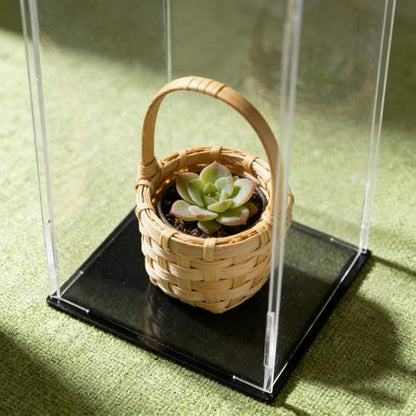 uxcell Acrylic Clear Display Case Box Dustproof Protection Showcase Cube Collectibles Show Box 5.9x5.9x11.8inch - size: 5.9x5.9x11.8inch