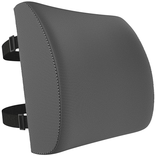 FORTEM Lumbar Support Pillow for Office Chair, Lumbar Support Pillow for Car, Back Rest for Gaming, Memory Foam Pillow, Desk Chair Cushion, Breathable & Washable Cover, Adjustable Straps - color: Dark Grey Mesh