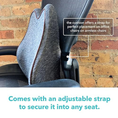 Cubii Cushii Back Support Cushion for Back and Lower Back Relief Universal Fit for Desk, Office, Kitchen Chairs, Couch Cushions with Advanced Lumbar Support - size: 16 Inches