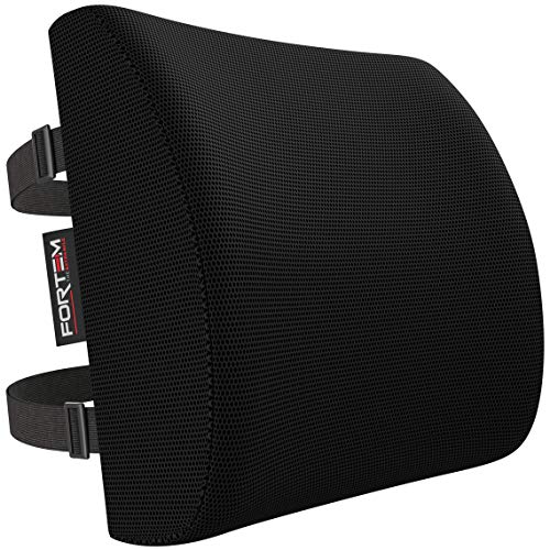 FORTEM Lumbar Support Pillow for Office Chair, Lumbar Support Pillow for Car, Back Rest for Gaming, Memory Foam Pillow, Desk Chair Cushion, Breathable & Washable Cover, Adjustable Straps - color: Black Mesh