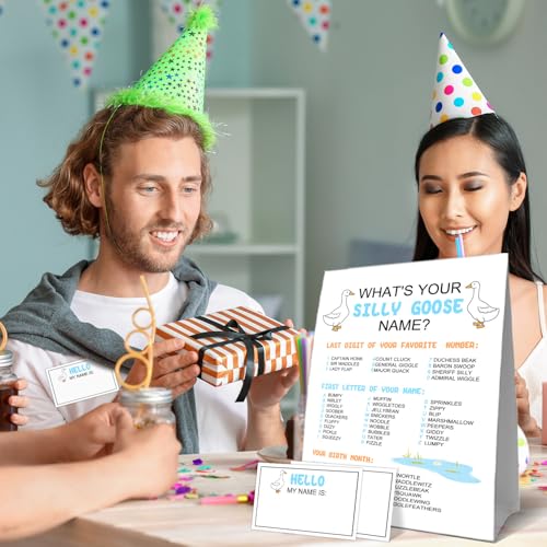 What's Your Silly Goose Name Game, What's Your Silly Goose Name Game Card, Gooses Names Games Sign 30 Sticker Cards, Gooses Baby Shower, Birthday Party Activities Decorations Names Card for Boys Girls - style: Sillygoose